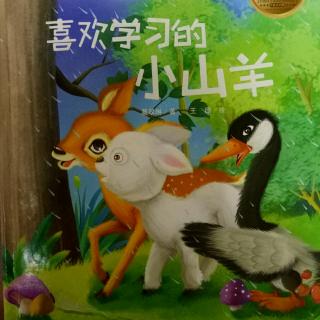 喜欢学习的小山羊