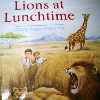 Lions At Lunchtime(9)
