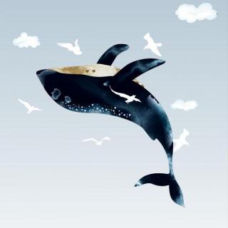 【TAO文】《化身孤岛的鲸》