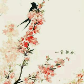 《一首桃花》林徽因