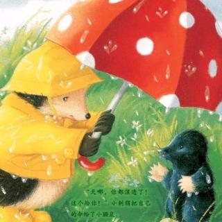 棕幼晚间故事——《雨中的小红伞》
