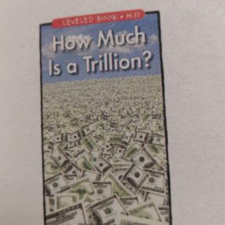 How Much Is a Trillion
