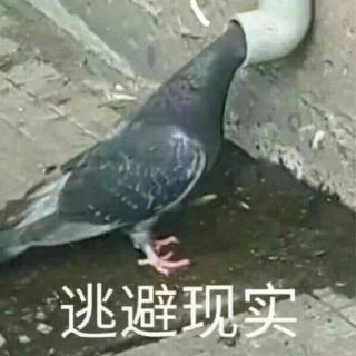 时间增值