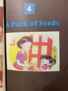 A pack of seeds