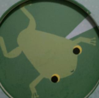 最美自然洞洞绘本—青蛙