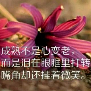 《你为什么不敢提要求》感悟