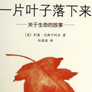 一片叶子落下来