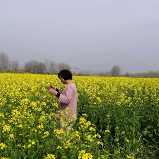 《一片叶子落下来》毛毛虫读吧