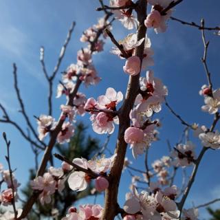 5混合运算例4及练习十二的编写意图和教学建议