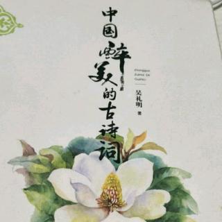 《中国最美的古诗词》二：《调笑令》下