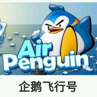 企鹅🐧飞行号