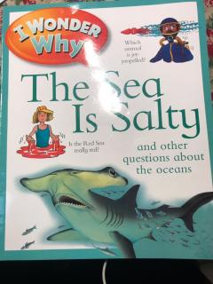 Richard-4月-The Sea Is salty1 <I Wonder Why>