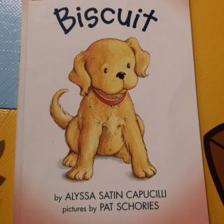 21-Biscuit