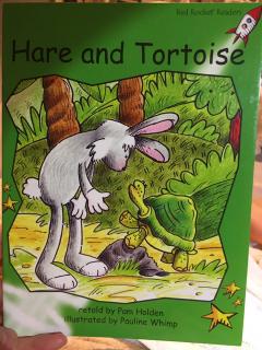 Hare and tortoise