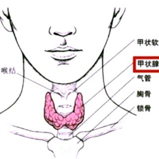 慢性纤维性甲状腺炎的临床特点是什么？