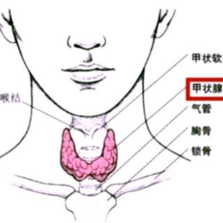 有没有可惜治愈甲减的措施？