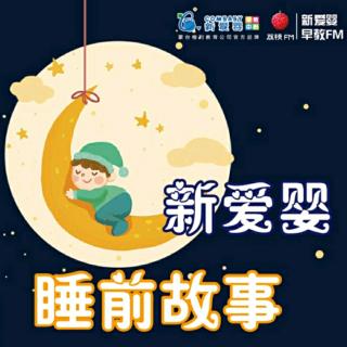 三只小猪上幼儿园|一天一个睡前故事