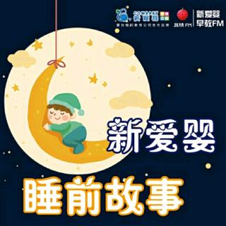 为什么人的头发会变白|一天一个睡前故事