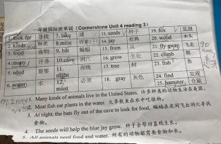 一年级国际班单词-U4-Reading 3