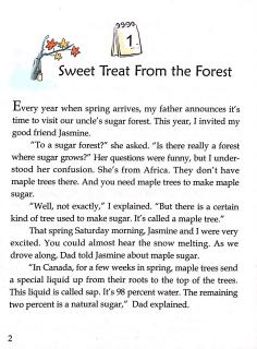 Sweet Treat From the Forest-20190401