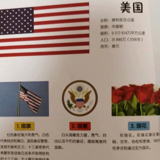 美国国旗