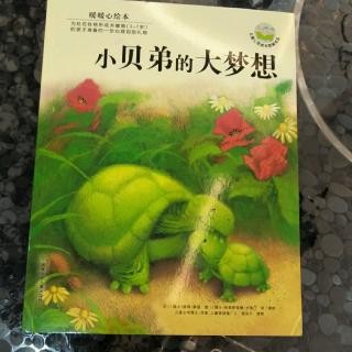 小贝弟的大梦想