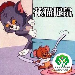 飞飞老师讲故事：花猫捉鼠