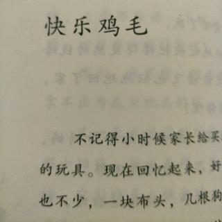 《快乐鸡毛》