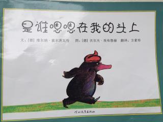 《是谁嗯嗯💩在我的头上》