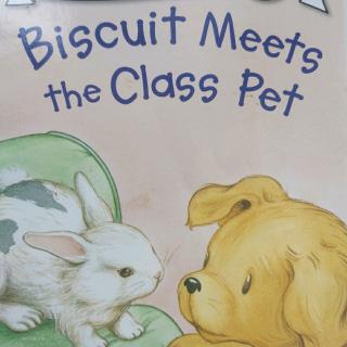 Biscuit meets the class pet