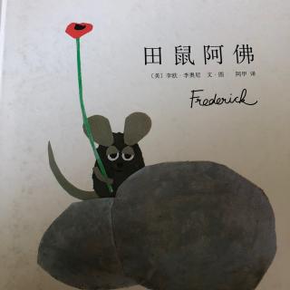 长江路幼儿园师幼绘本分享《田鼠阿福》