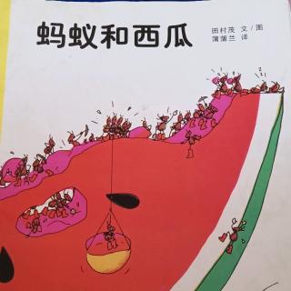 《蚂蚁和西瓜》