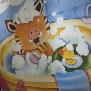 《小野猪洗澡》