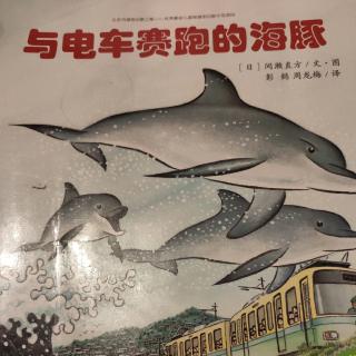 与电车赛跑的海豚