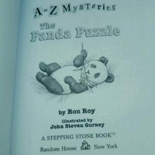 The Panda Puzzle 38