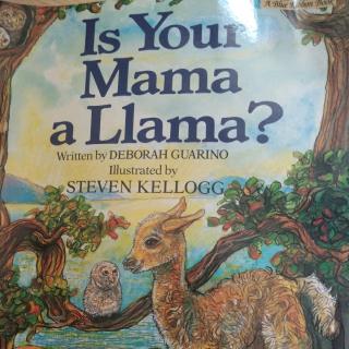 Is Your Mama a  Llama？