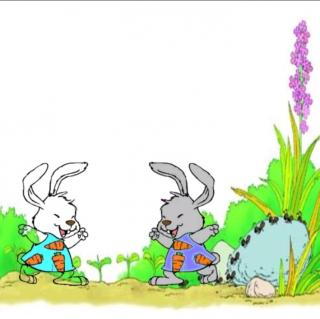小白兔和小灰兔——夜晚探险