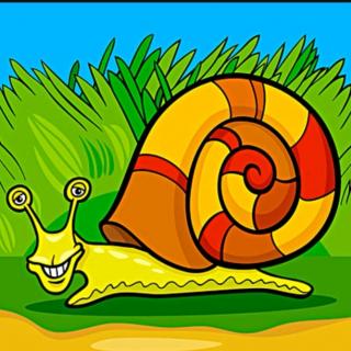 【故事308】供销幼儿园晚安故事《爱短跑的小蜗牛》