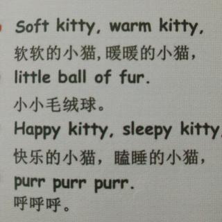 Soft Kitty