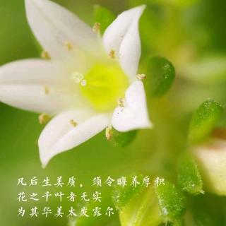 🌻《建设最美家庭十大模块》和人生十大要点