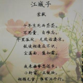 麦老师读诗词故事.5.《❤江城子 乙卯正月二十日夜记梦》宋：苏轼