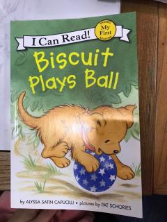 rainbow booktalk biscuit plays ball