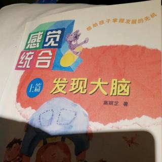 《发现大脑》读书分享1