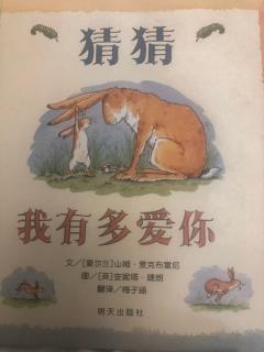 猜猜我有多爱你