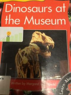 Dinosaurs At The Museum