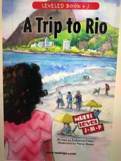 A trip to Rio