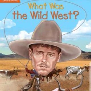 What was the Wild West? C3