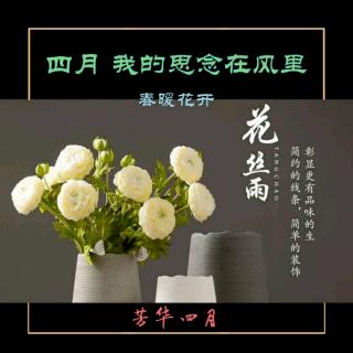 《四月，我的思念在风里》/作者：春暖花开