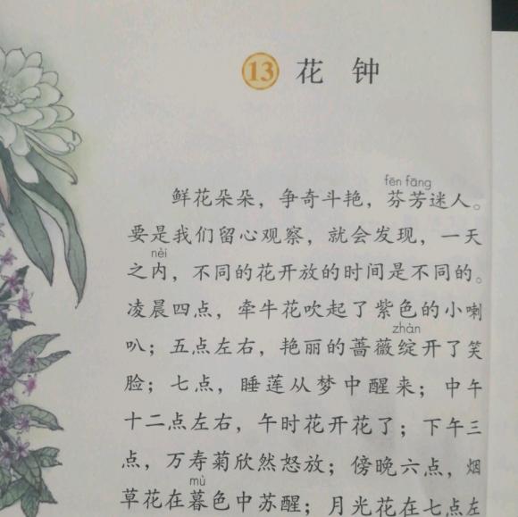 13花钟简约朗读