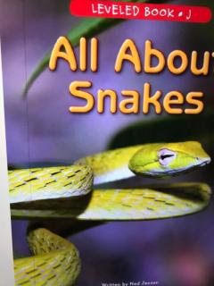 All about snakes